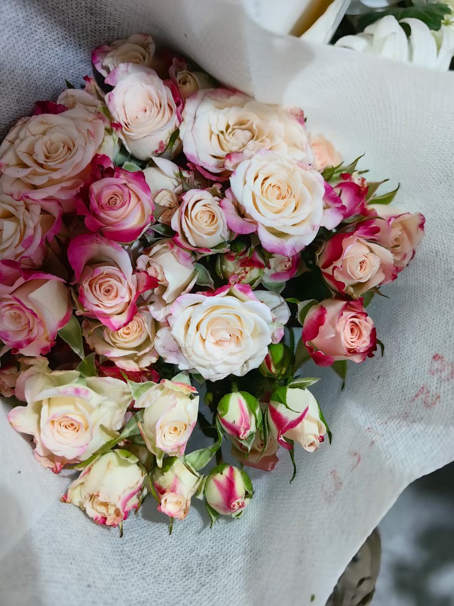 Jeannie Pyron tweet media