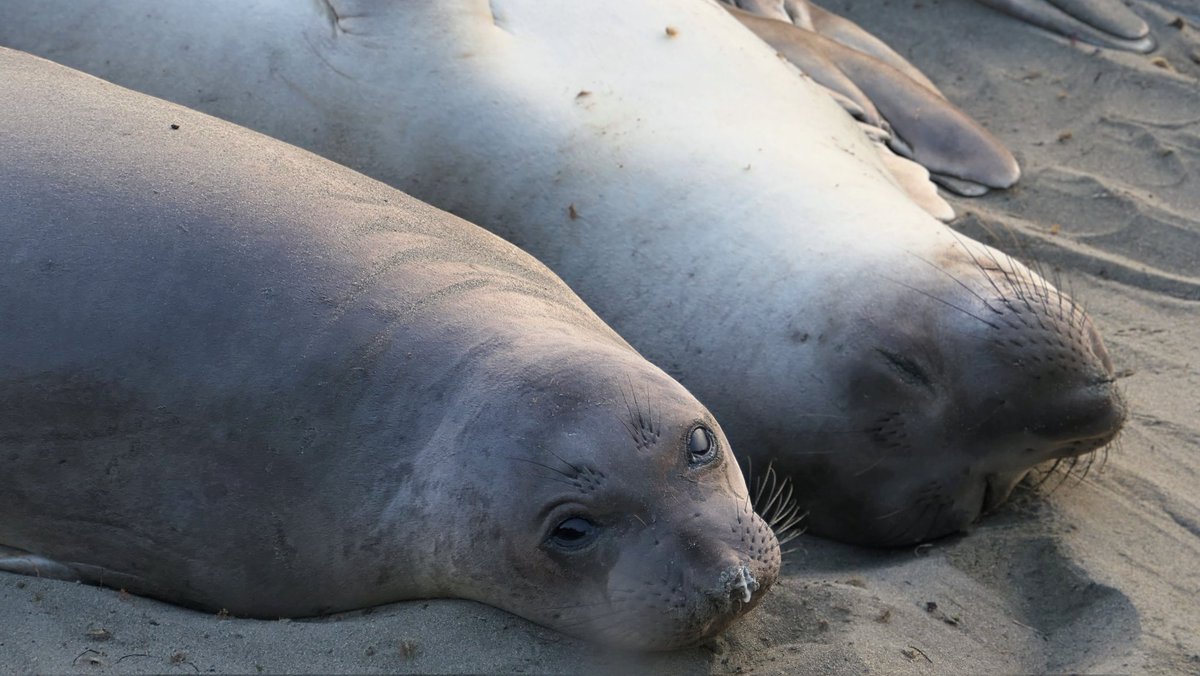 Monica S. tweet media