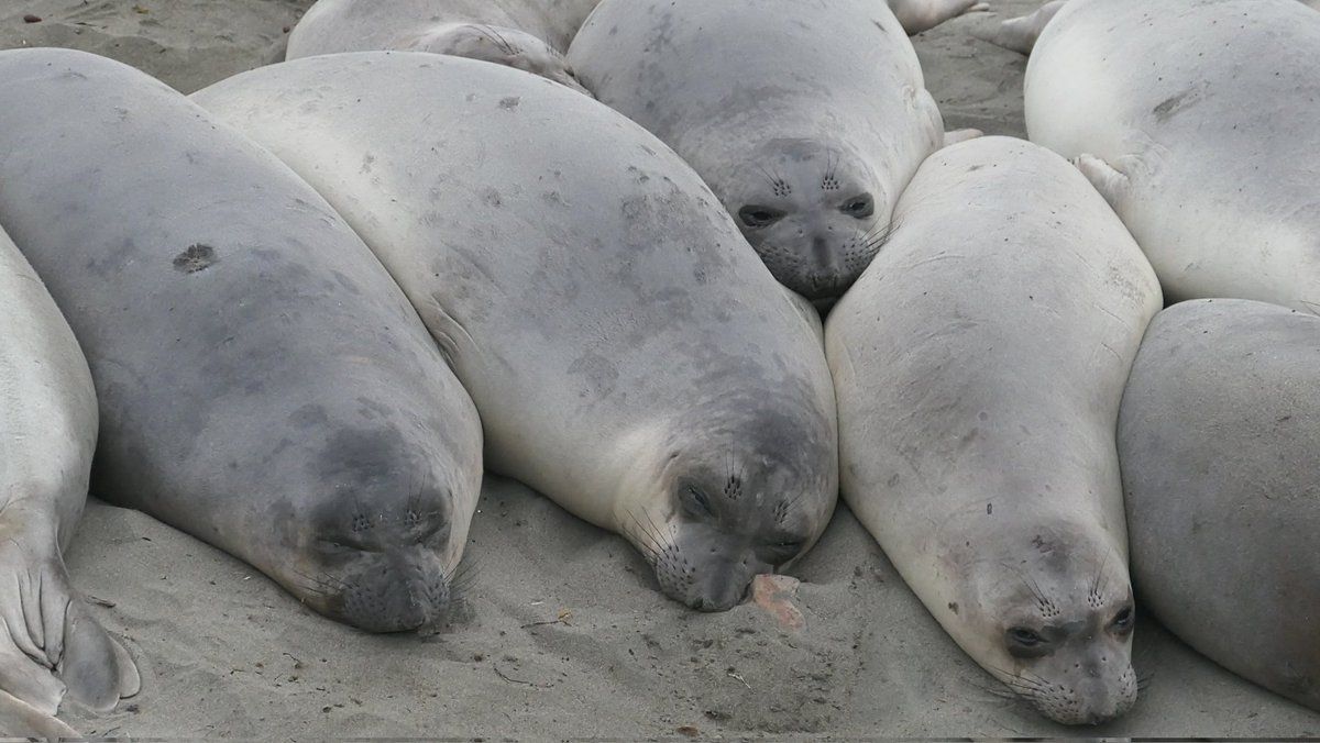 Monica S. tweet media