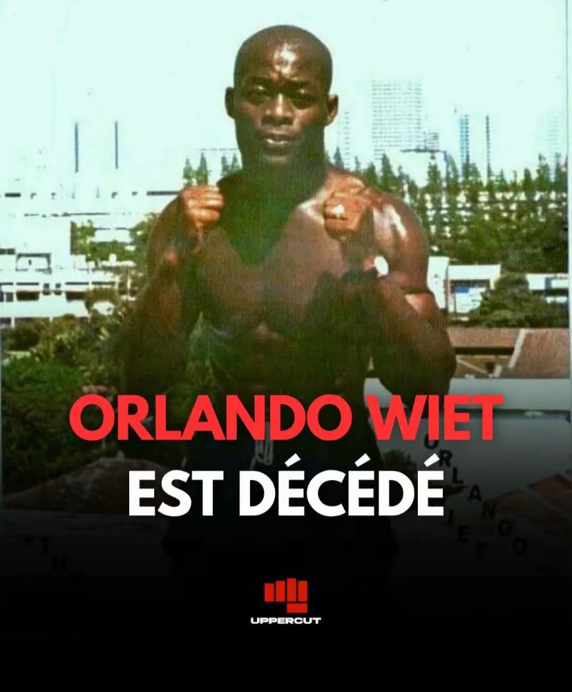 kalala666 tweet media