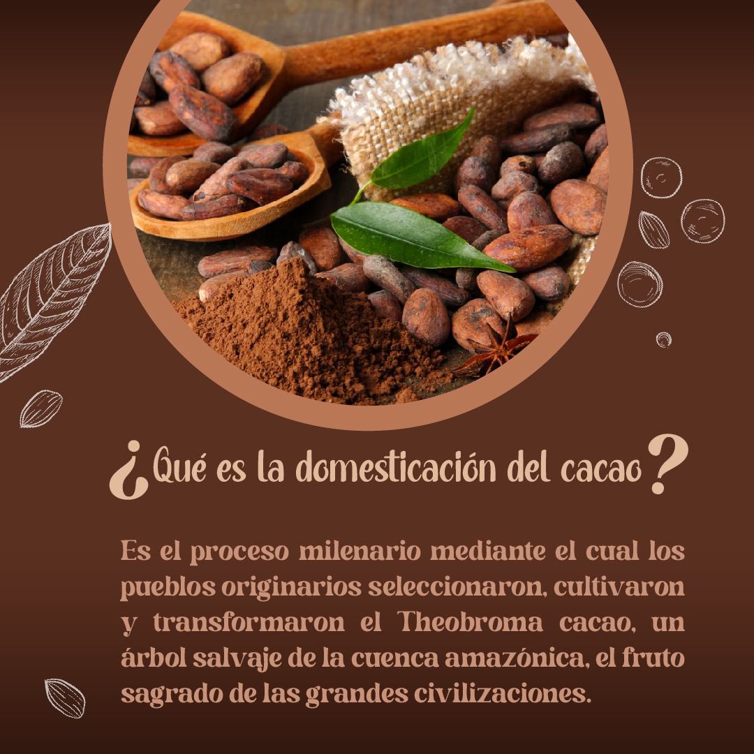 Plan Binacional Capítulo Ecuador tweet media