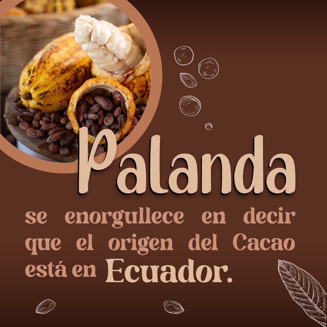 Plan Binacional Capítulo Ecuador tweet media
