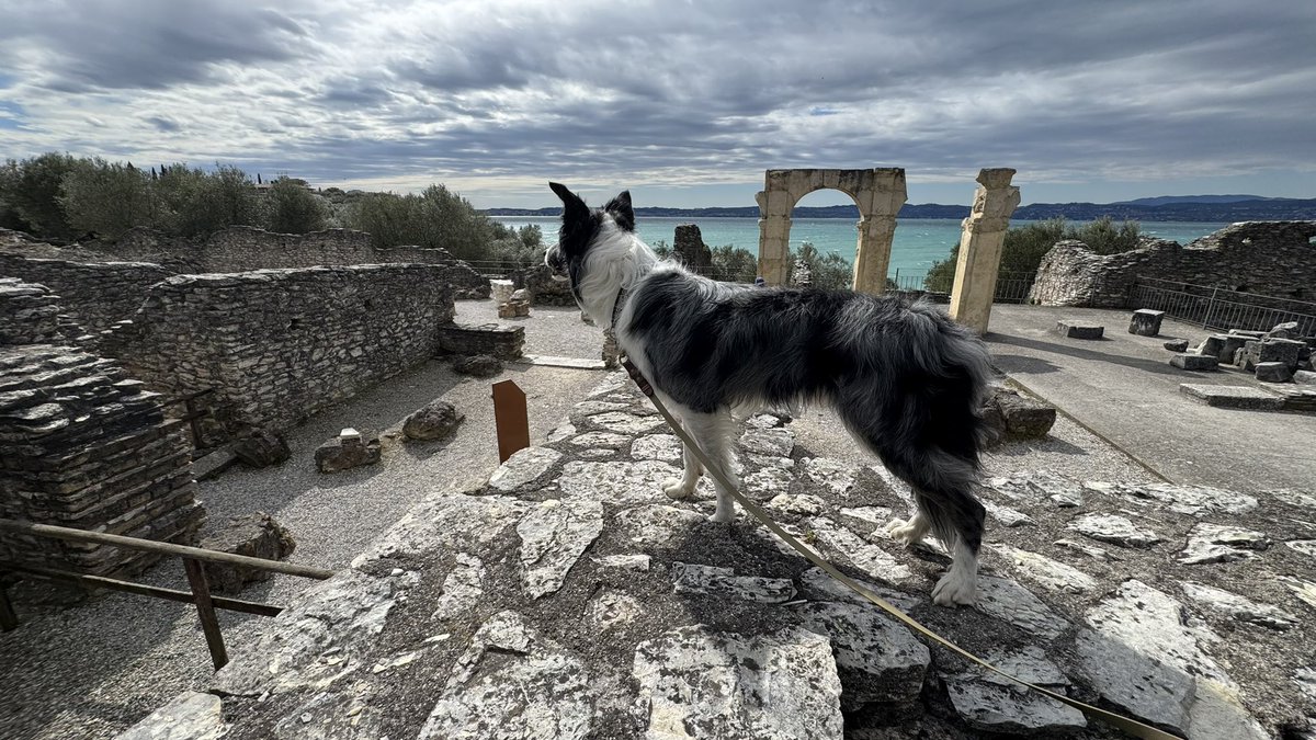 LokiGottdesSchabernacks tweet media