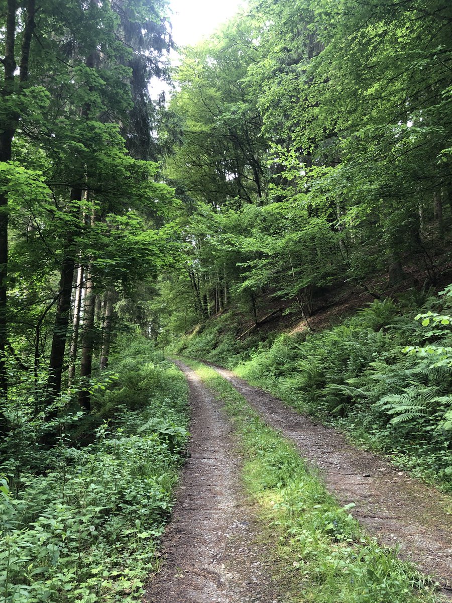 Marion Fiedler tweet media