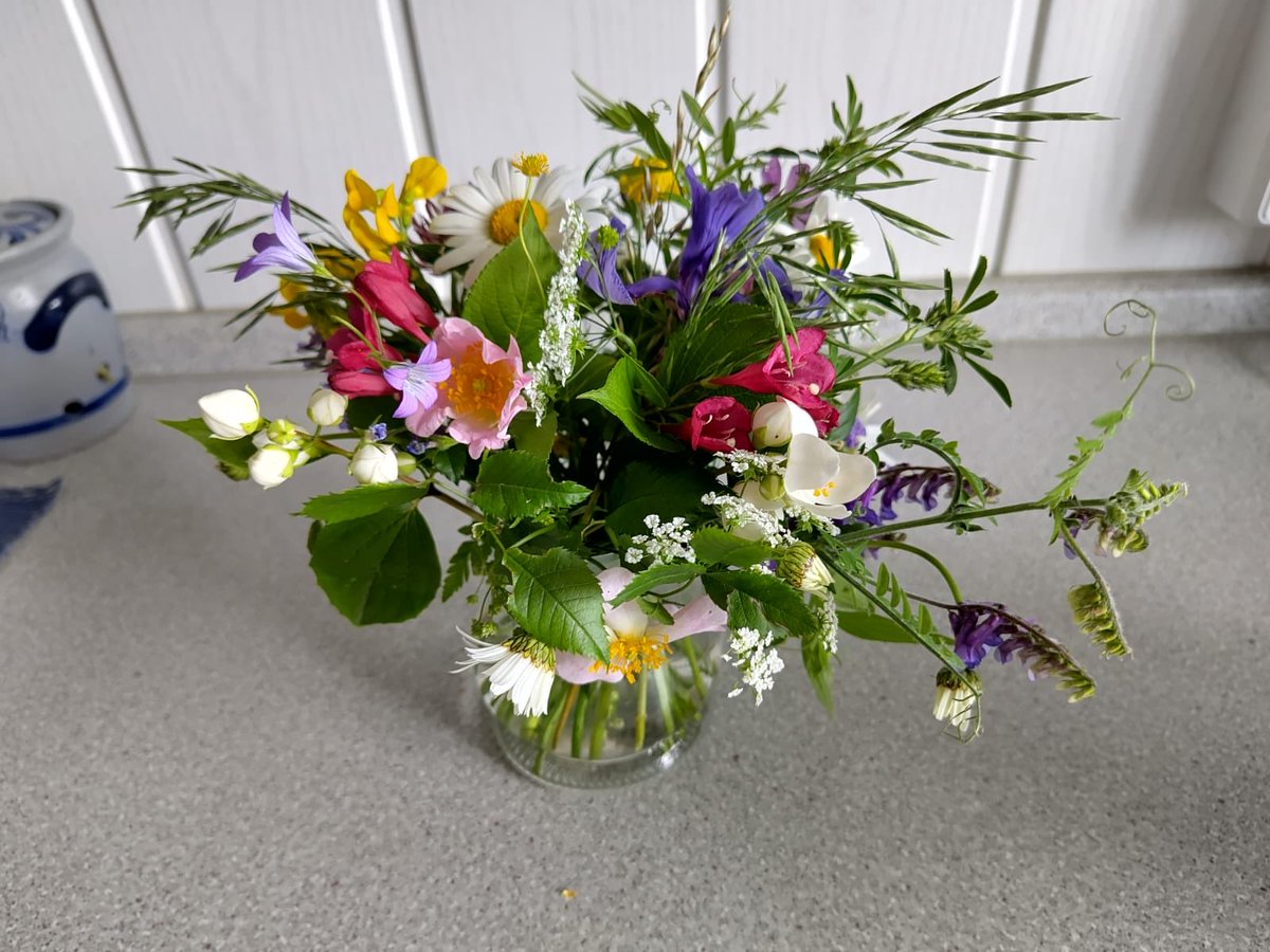 Marion Fiedler tweet media