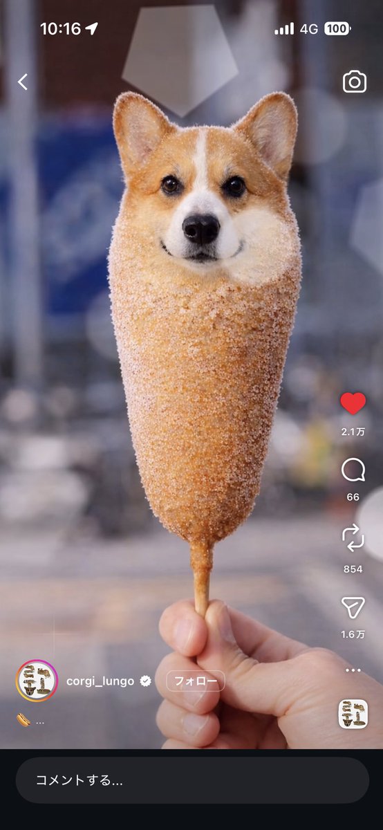 とおちたん tweet media