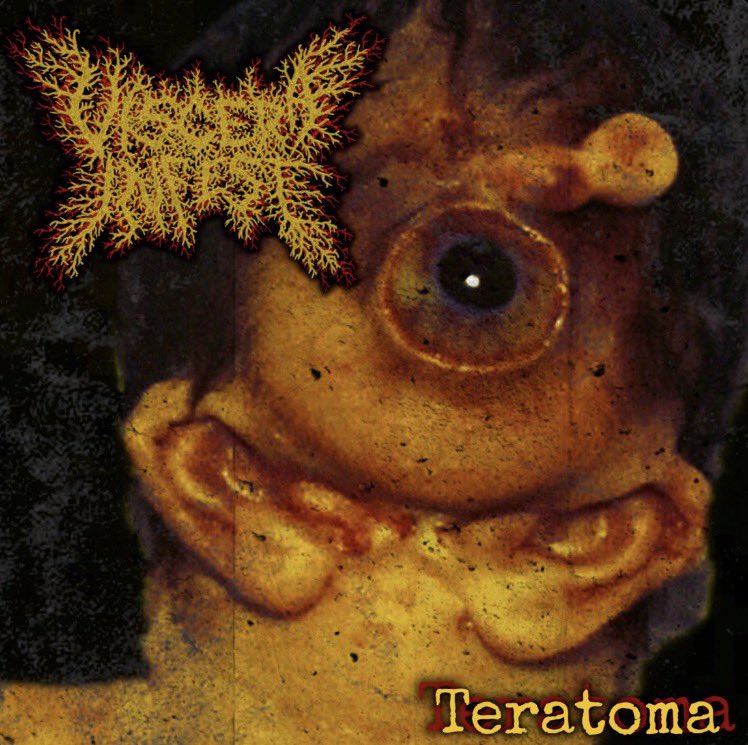 Harry💀🔨 tweet media