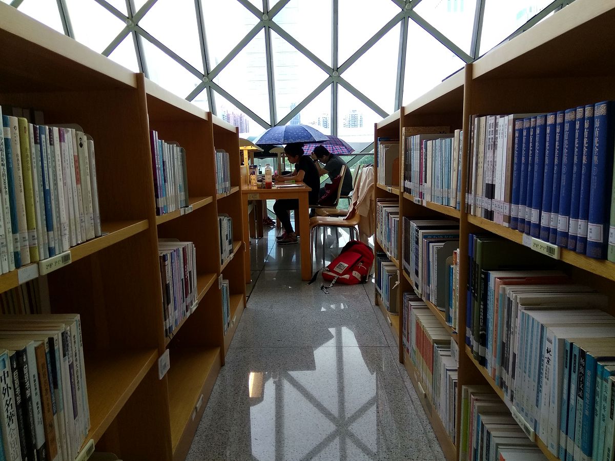 Donna Durmazlar tweet media