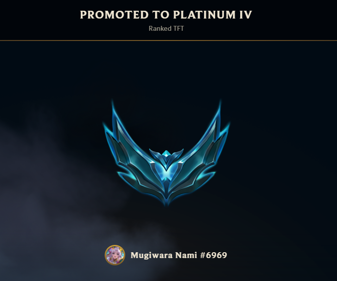 chabs 🌷🐇✧ tweet media