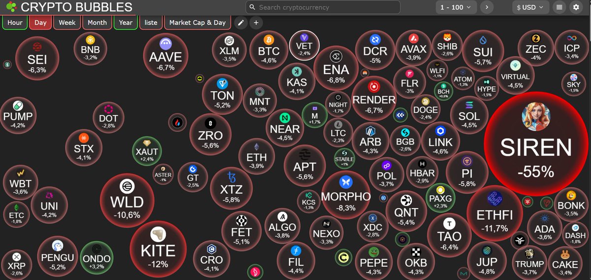 MonsieuRabbit tweet media