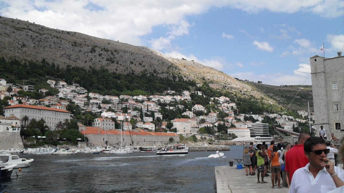 Dan Alt 🦆🦆 🕎 tweet media