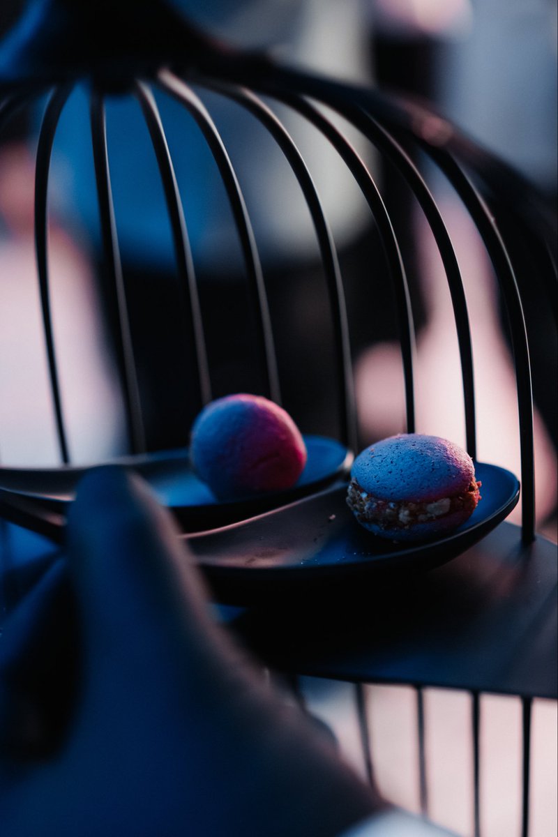 Anya🐻 tweet media