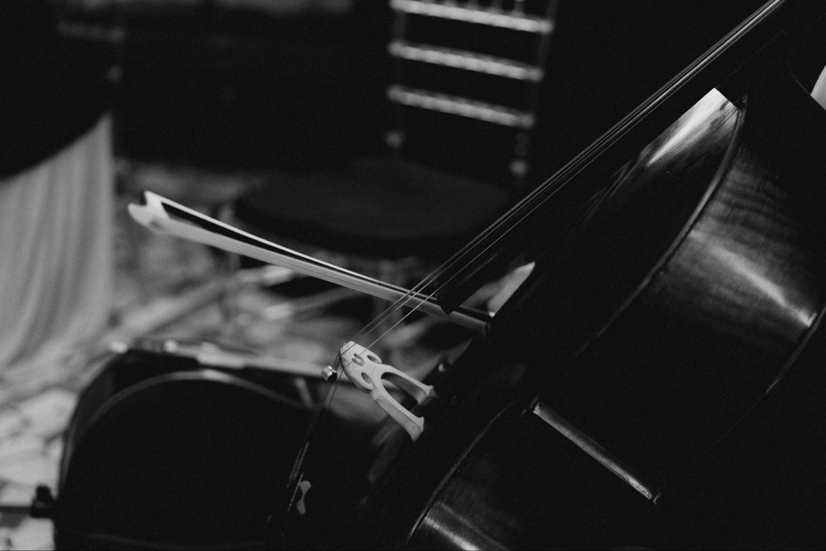 Anya🐻 tweet media