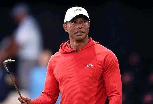 Godswill Red tweet media