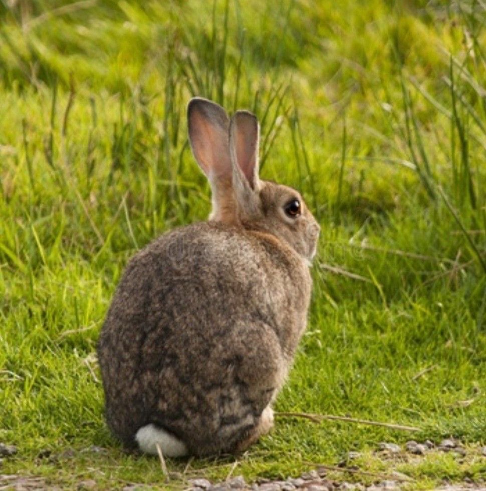 Moony ☾ tweet media