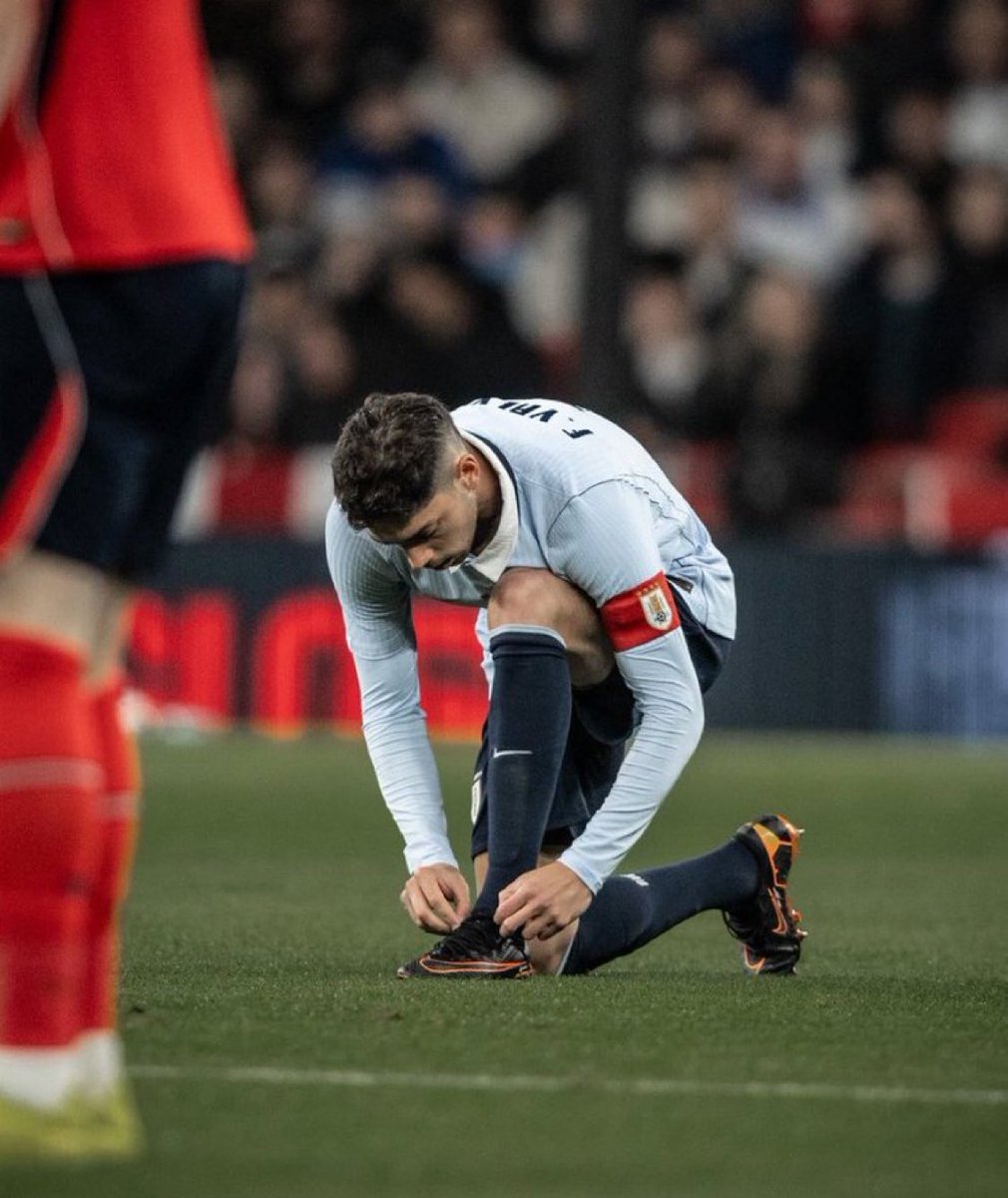 Madrid Zone tweet media