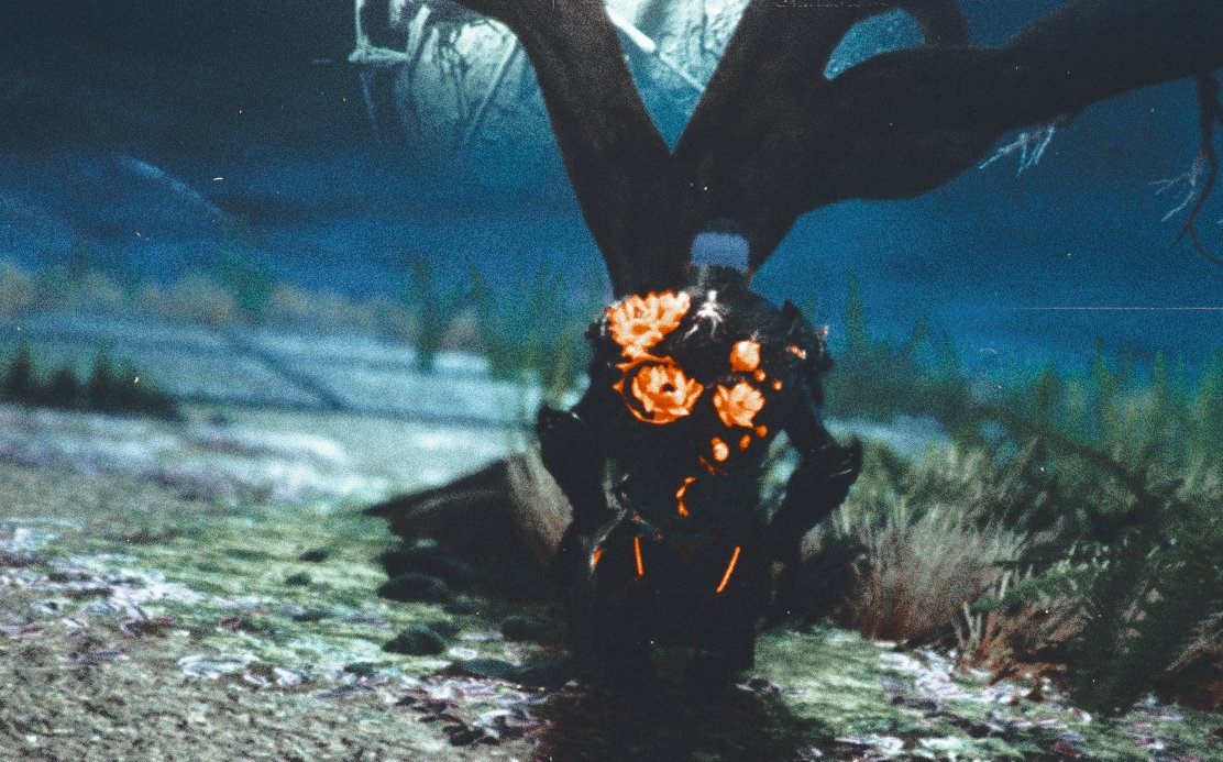 𝕷𝐎𝐑𝐘𝐍 tweet media