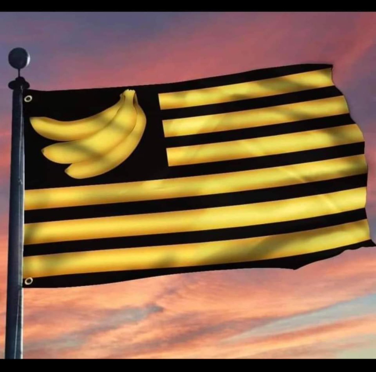 Winston Smith's Conscious tweet media