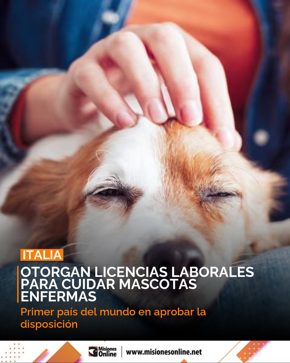 misionesonline's tweet image. Italia, el primer país del mundo en aprobar licencias laborales remuneradas para cuidar mascotas enfermas. 🐾 Reconoce el valor de los animales de compañía. 🐶
misionesonline.net/2026/03/27/lic…
#Italia #Mascotas #LicenciaLaboral