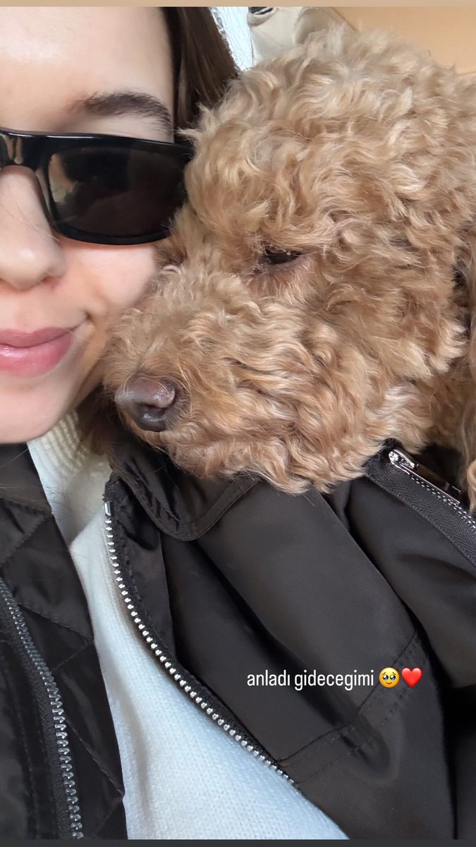 afrasource's tweet photo. 260327 | #AfraSaraçoğlu via Instagram story.

“anladı gidecegimi 🥹❤️”
“ciao @bvlgari ❤️” https://t.co/ln1lVEsK3K
