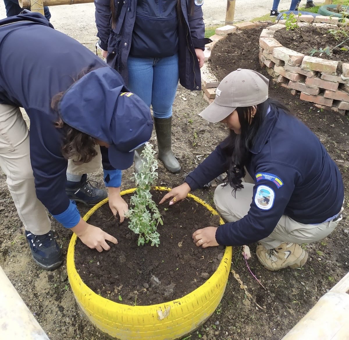 Corresponsal Ambiental tweet media