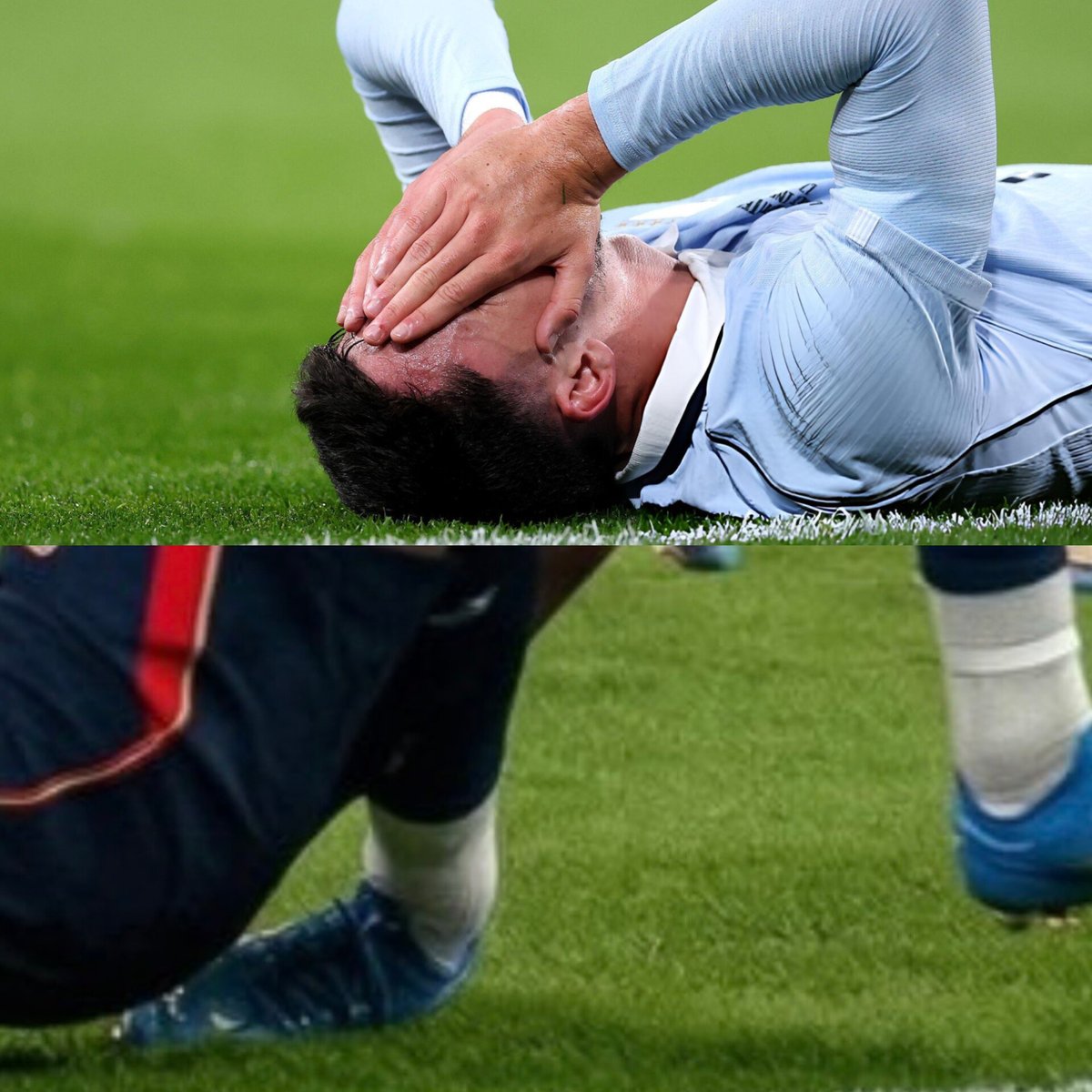 Planeta do Palmeiras 🌎 tweet media