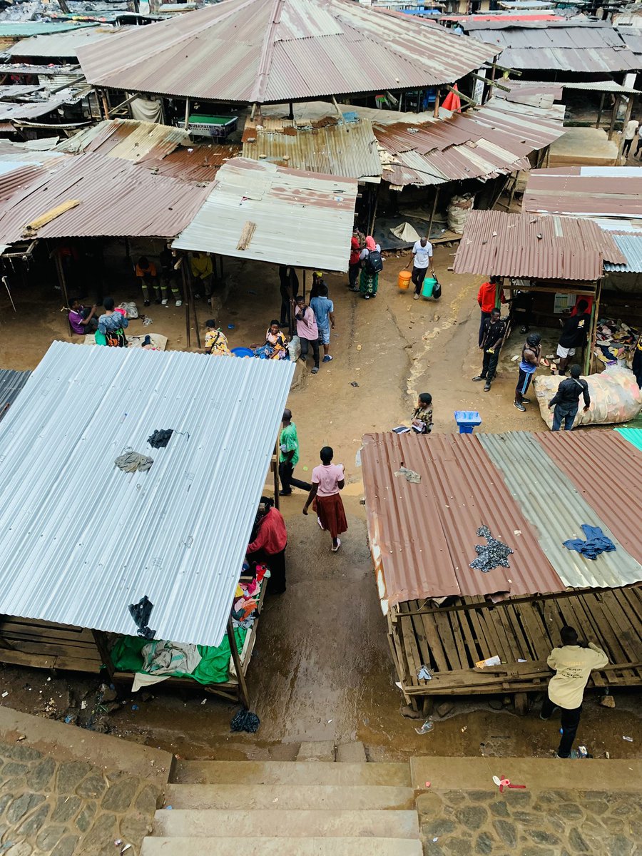 Miauncy’s Collection 🦋❤️🇲🇼 tweet media