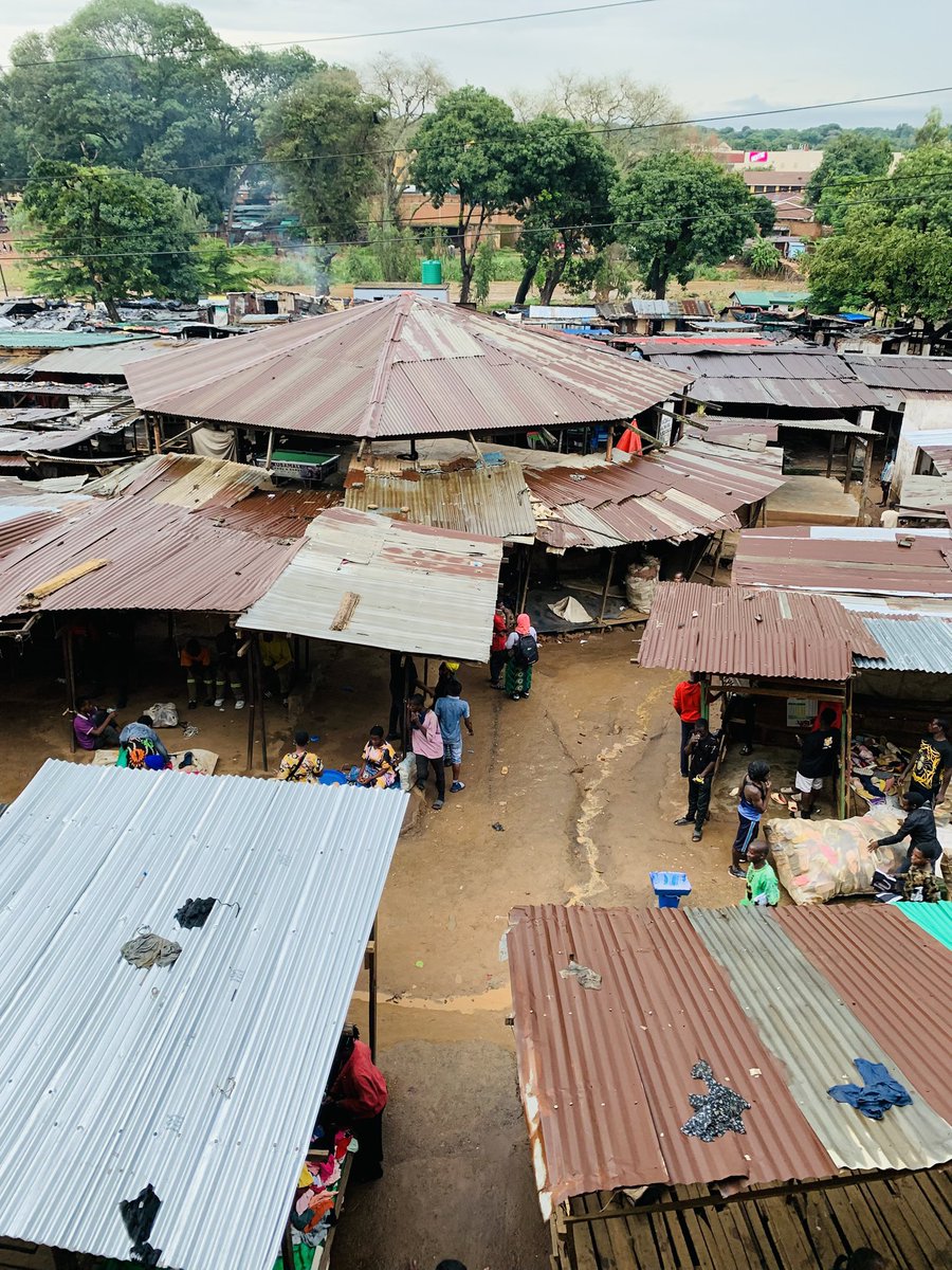 Miauncy’s Collection 🦋❤️🇲🇼 tweet media