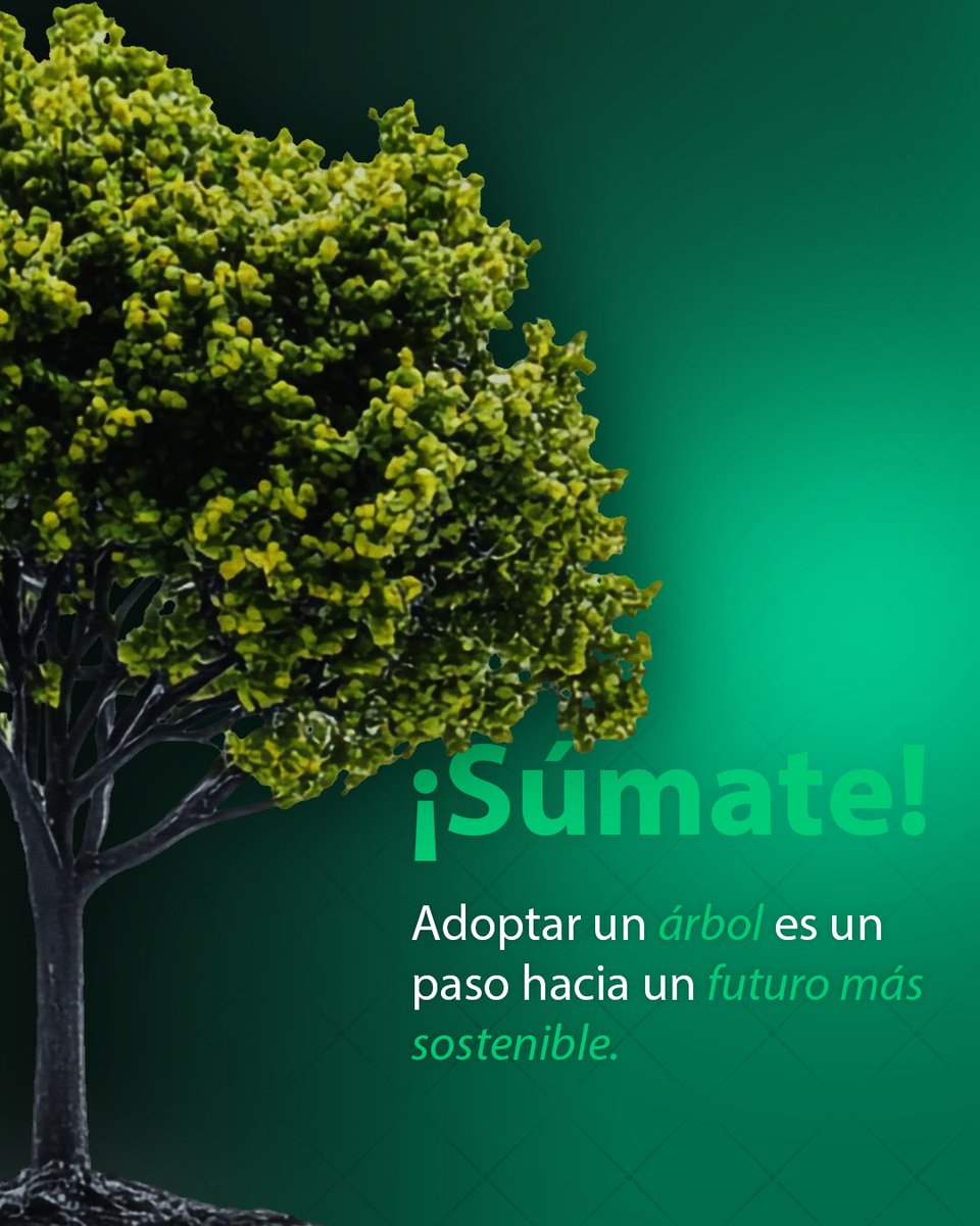 Fundación Bepensa tweet media