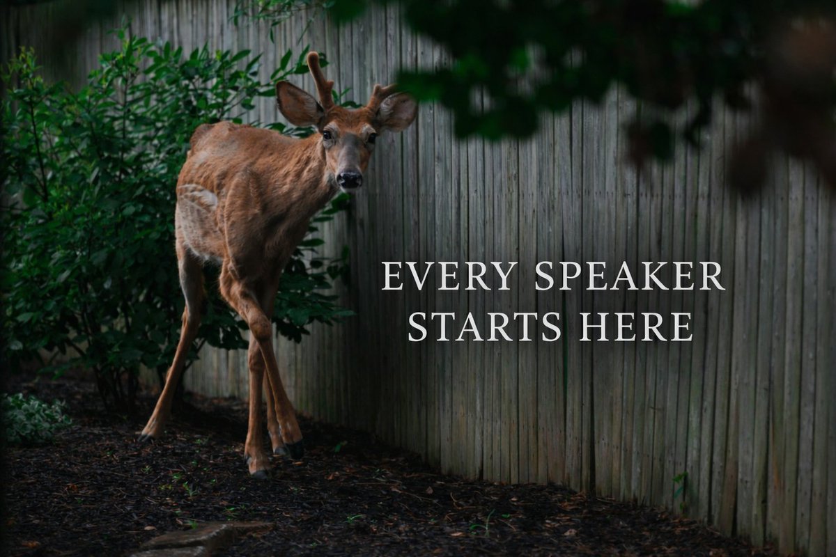 wordsprof's tweet image. If public speaking feels like standing exposed, that’s normal.
Your brain thinks you’re under threat.
Training teaches it otherwise.
 youtube.com/shorts/M_k_ZM-…
#SpeechAnxiety #HumanBehavior #LeadershipDevelopment #PostcardsWithAPurpose