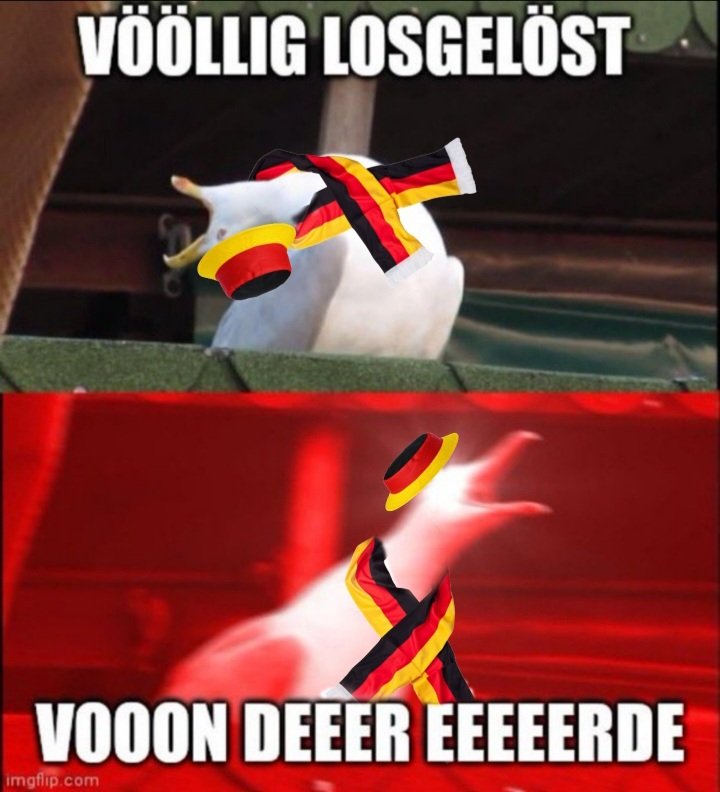 Max Kirchi tweet media