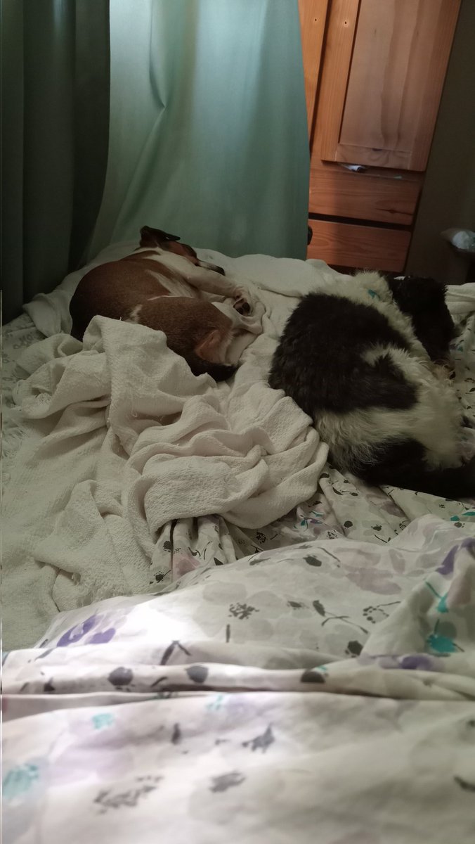 Eugenia⚪🔴⚪⭐️⭐️⭐️🇮🇱 tweet media