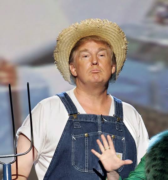 M S Rana✨ tweet media