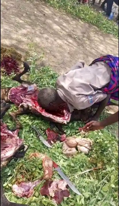 Chizifresh273's tweet photo. This act defines a nomad.
Proud sons and daughters of nomads relate, give a shout out to your nomad friend.
Either a Turkana , Maasai, Samburu, Pokot, Rendile, Somali et al. https://t.co/PKgpY0Gn1m