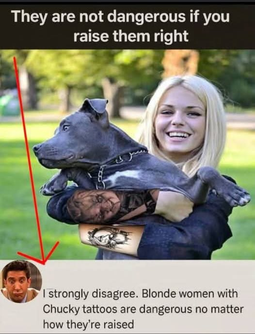 Quo Vadis - Richie The Rich tweet media