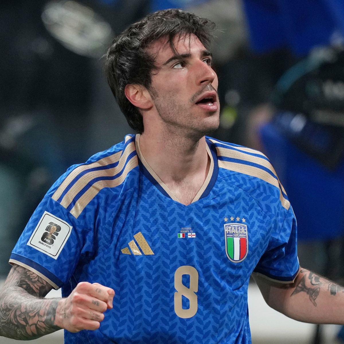 Dan McMahon™ ⚡↗️ tweet media