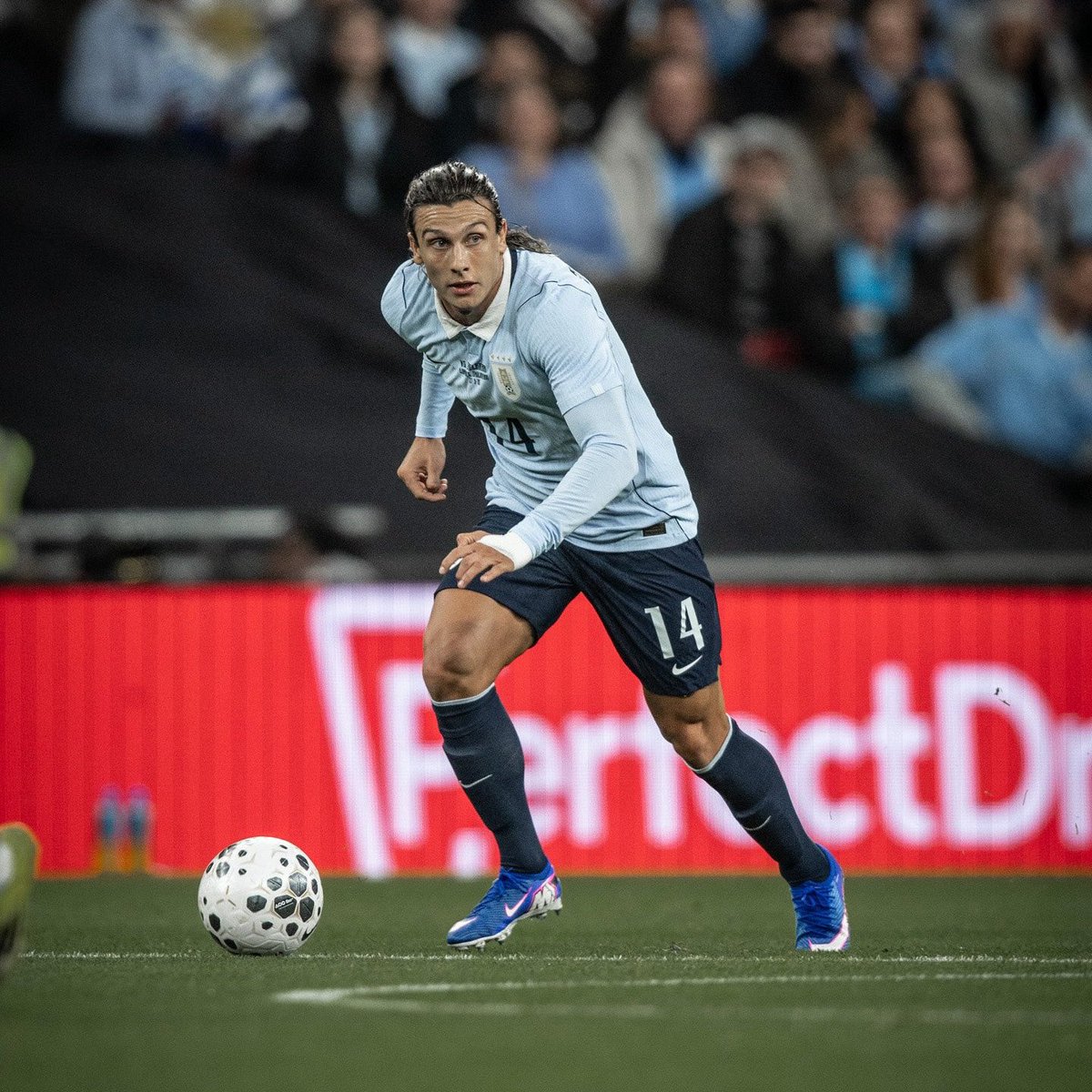 Brahian Kuchman tweet media