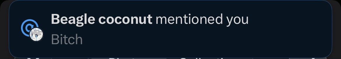 Phainon of Aedes Elysiae tweet media