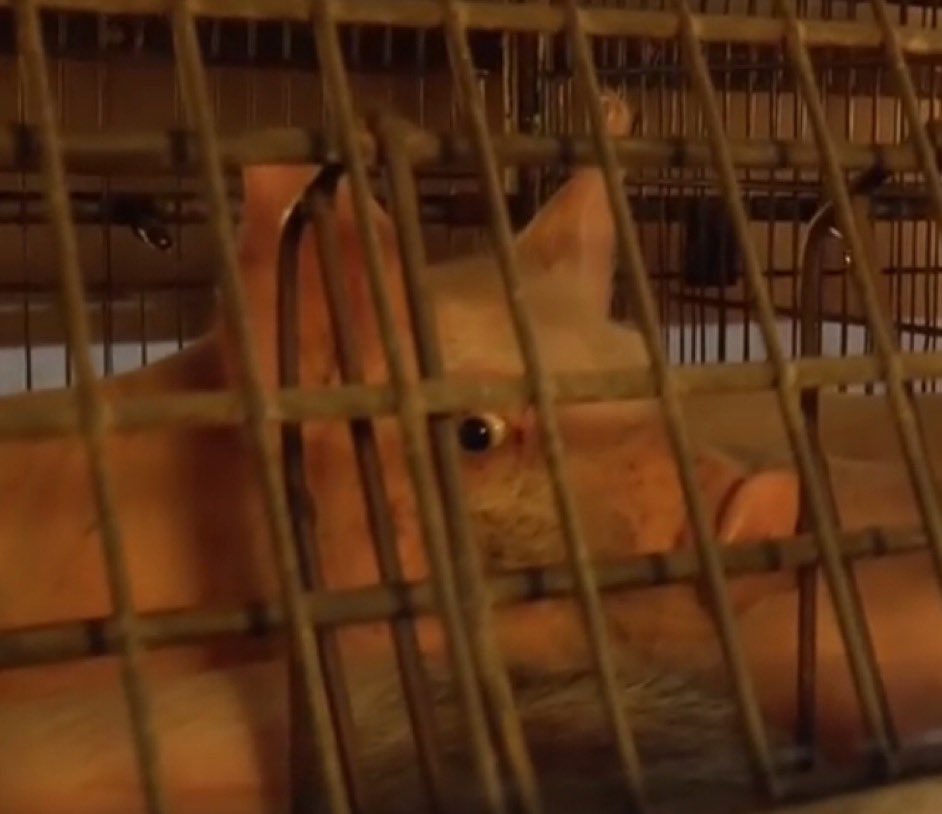 may 𝜗ৎ tweet media