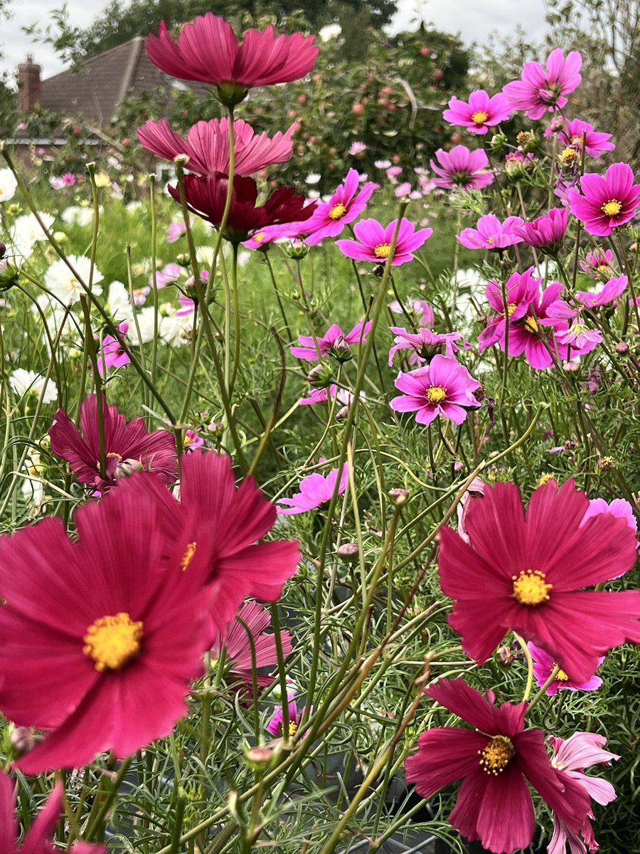 Jonathan Sheppard tweet media