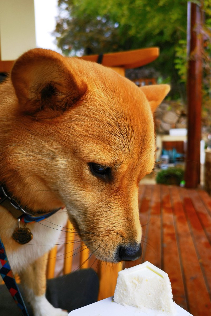 Debbe M. tweet media