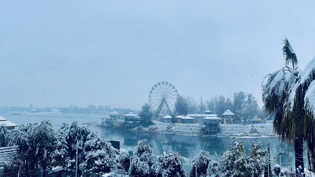 ✷ IRAQPOTAMIA tweet media