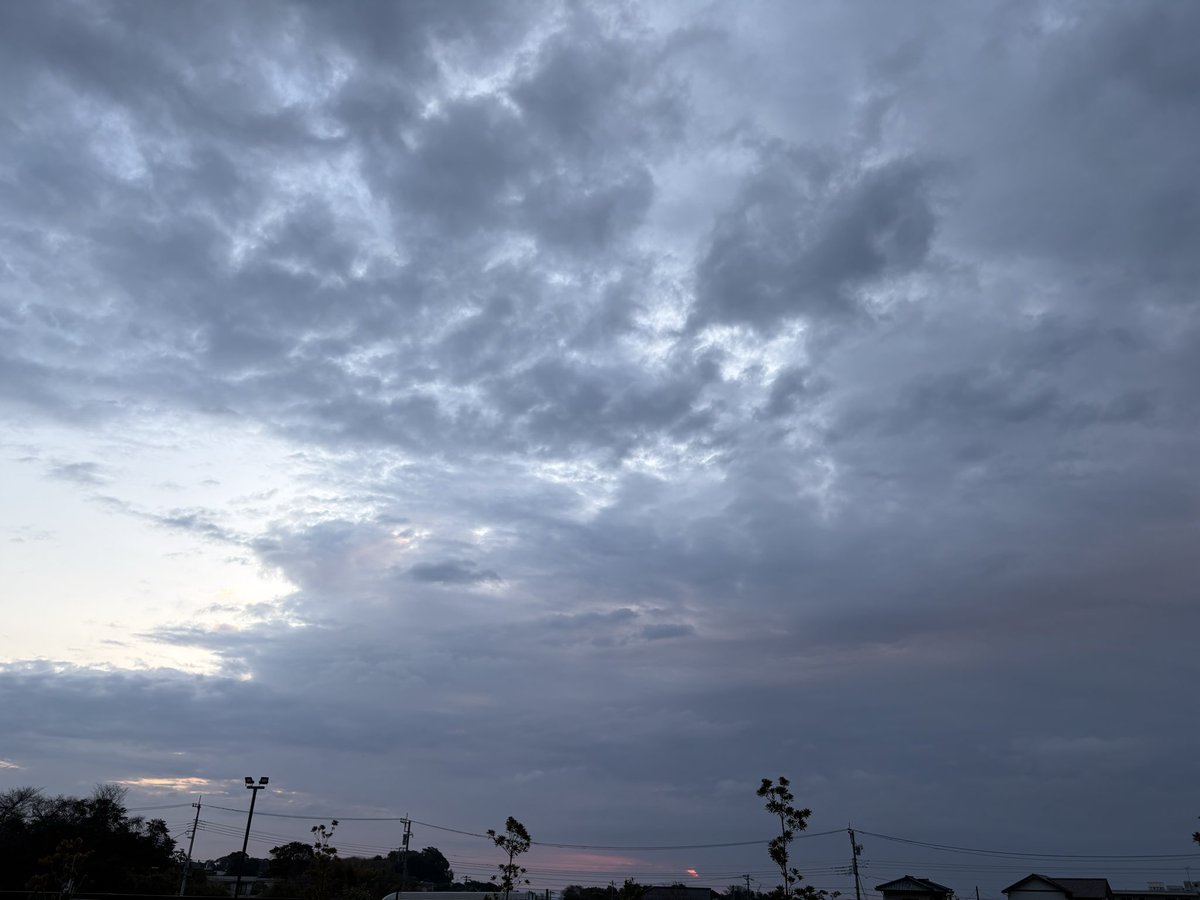 勝村政信 tweet media