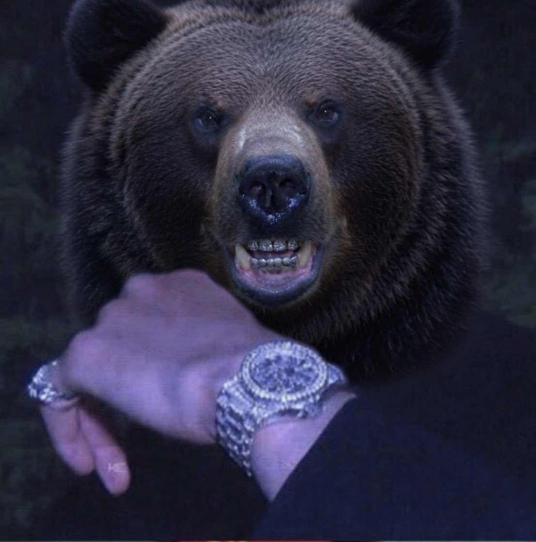 CT🌒_BULL_BUILD($BLCN/ARC)🔋🚪 tweet media