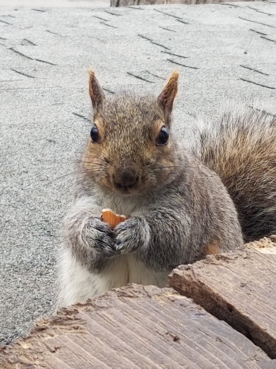 Bill Harnsberger tweet media