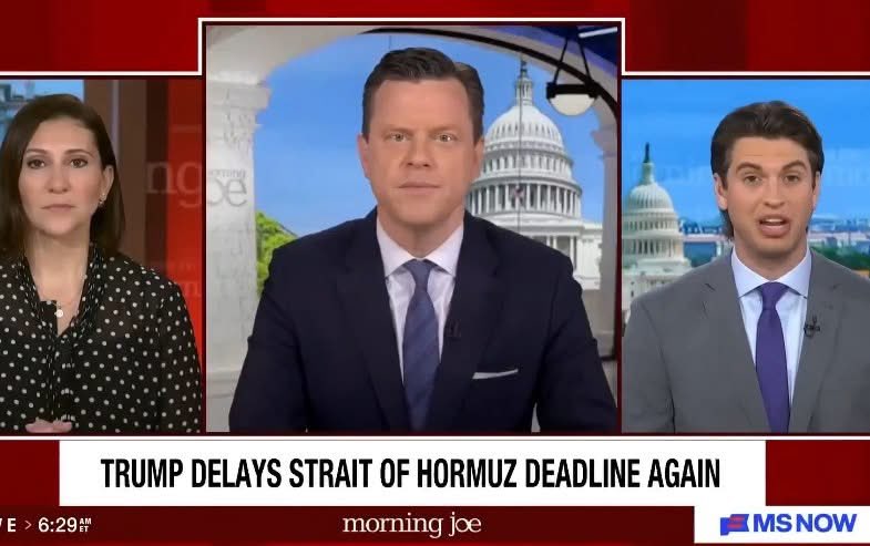 Occupy Democrats tweet media