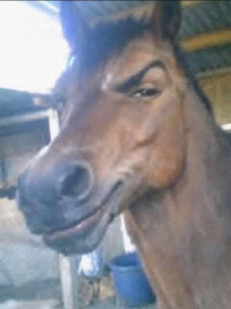 Vybetheartguy tweet media