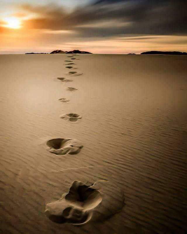 رُبَّ حظرٍ جميل خير من مُتابعة مؤذية.