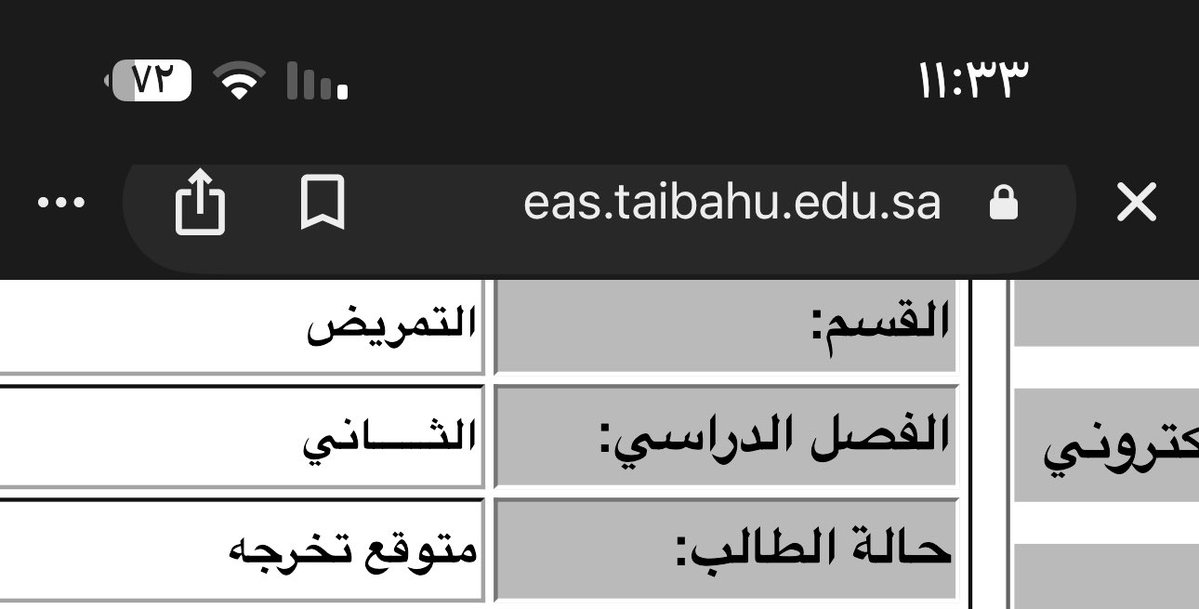 إستبرَق tweet media