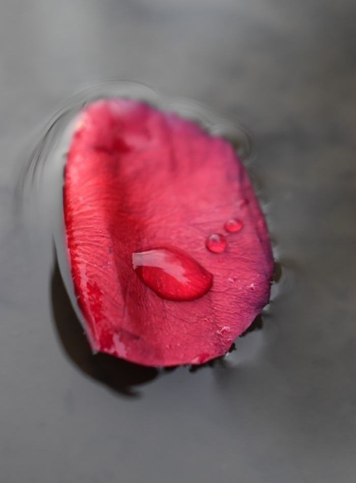 في القلب شيء من عتاب..